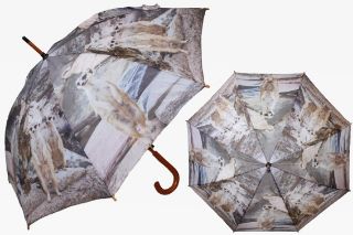 Obrázek z Deštník 87cm - surikaty (12) 